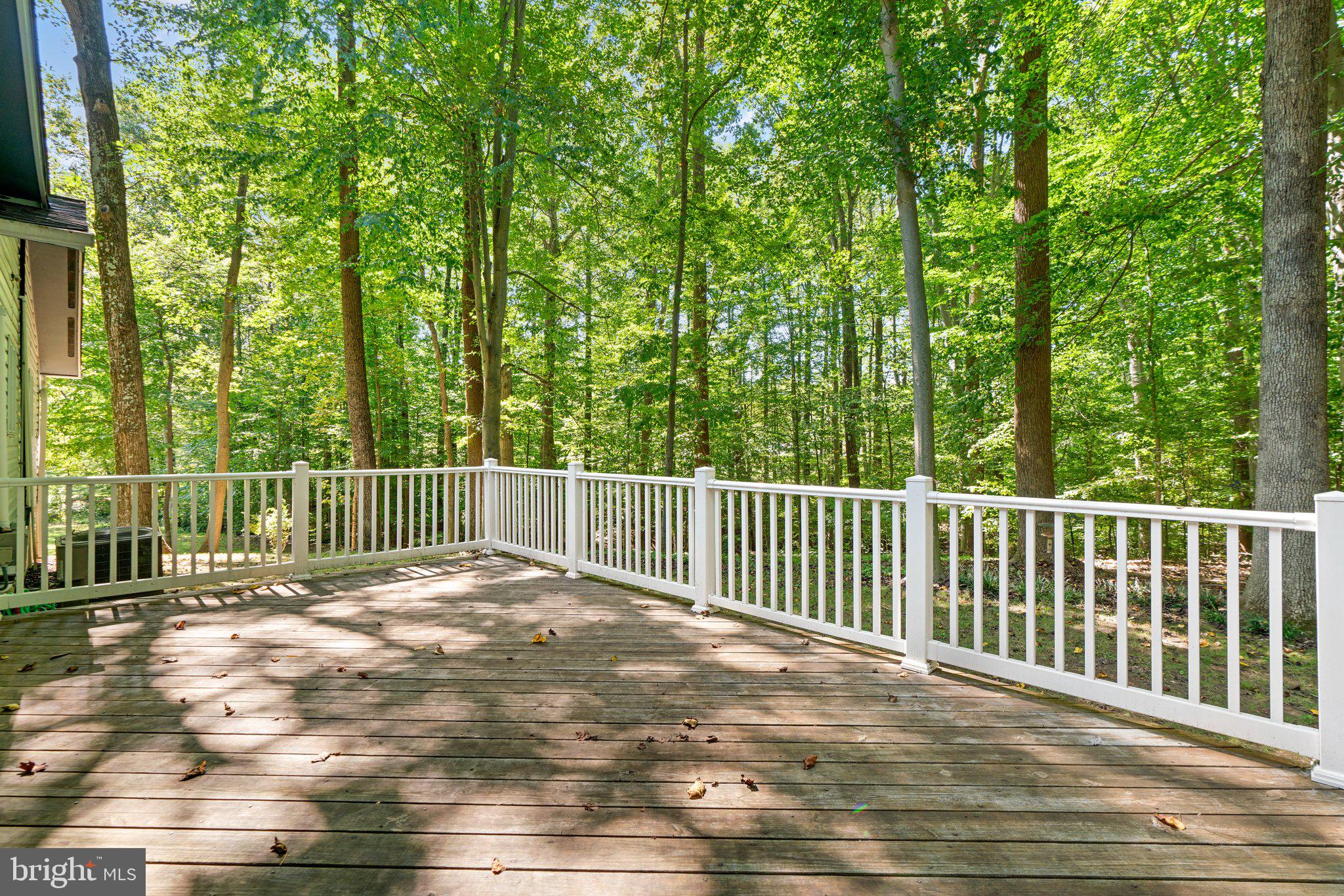 12412 Hall Shop Road Fulton, MD 20759 - Photo 38 of 97 Private deck off of primary suite.