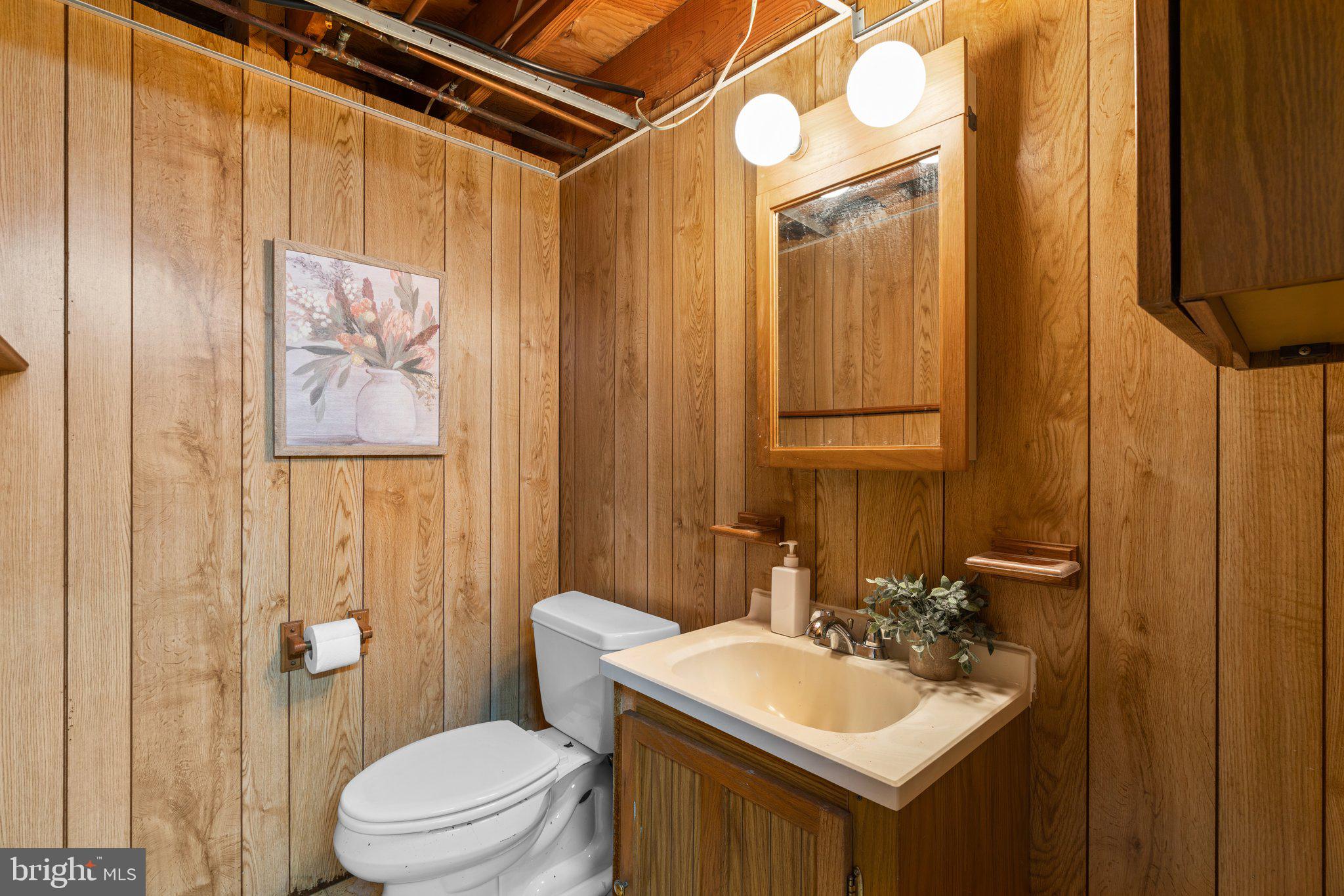 12412 Hall Shop Road Fulton, MD 20759 - Photo 61 of 97 Lower level; wood shop bathroom.