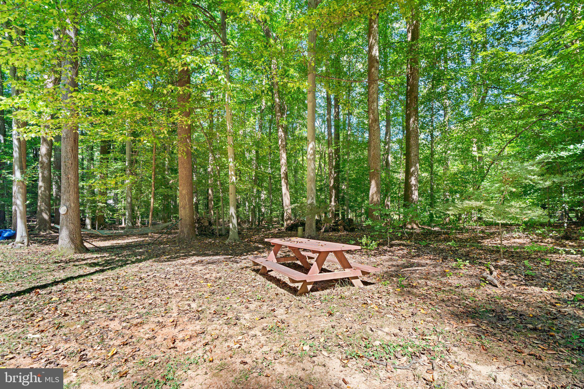 12412 Hall Shop Road Fulton, MD 20759 - Photo 67 of 97 Picnic area/play area in rear of home.