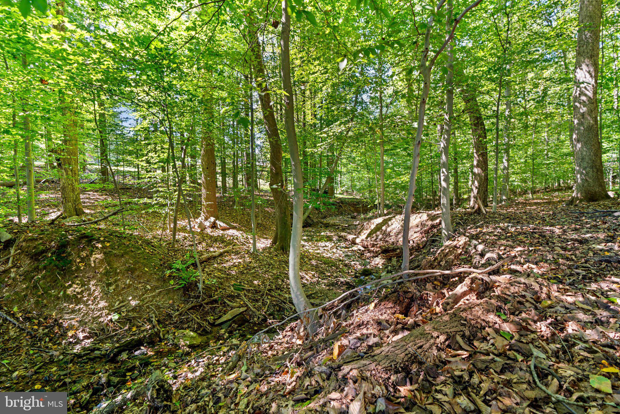 12412 Hall Shop Road Fulton, MD 20759 - Photo 70 of 97 Stream running through property.