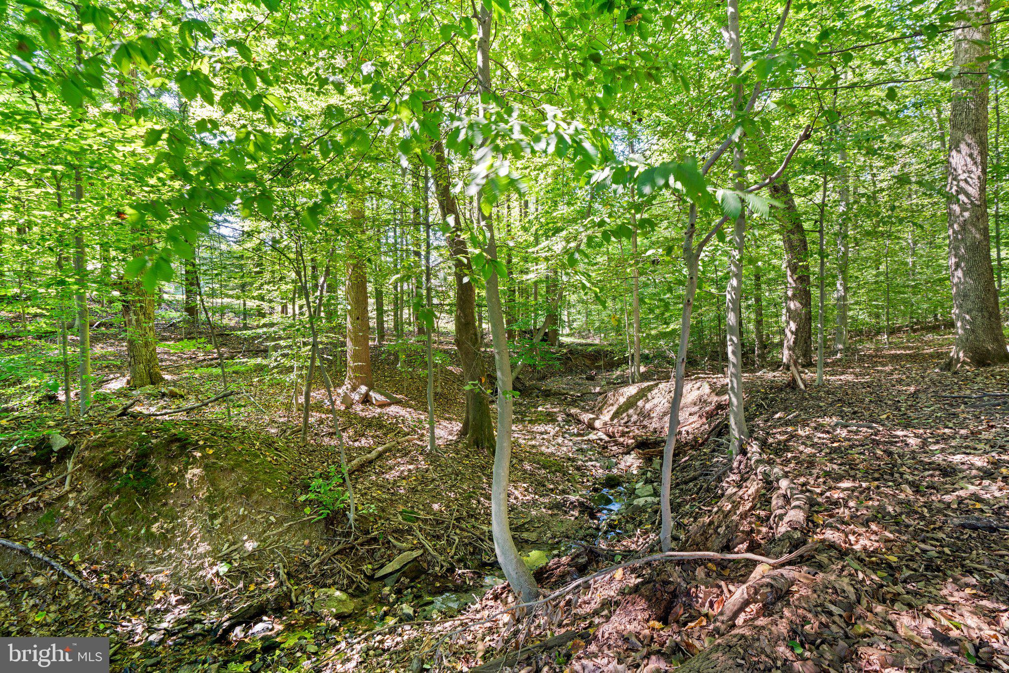 12412 Hall Shop Road Fulton, MD 20759 - Photo 71 of 97 Stunning nature, your own trails.