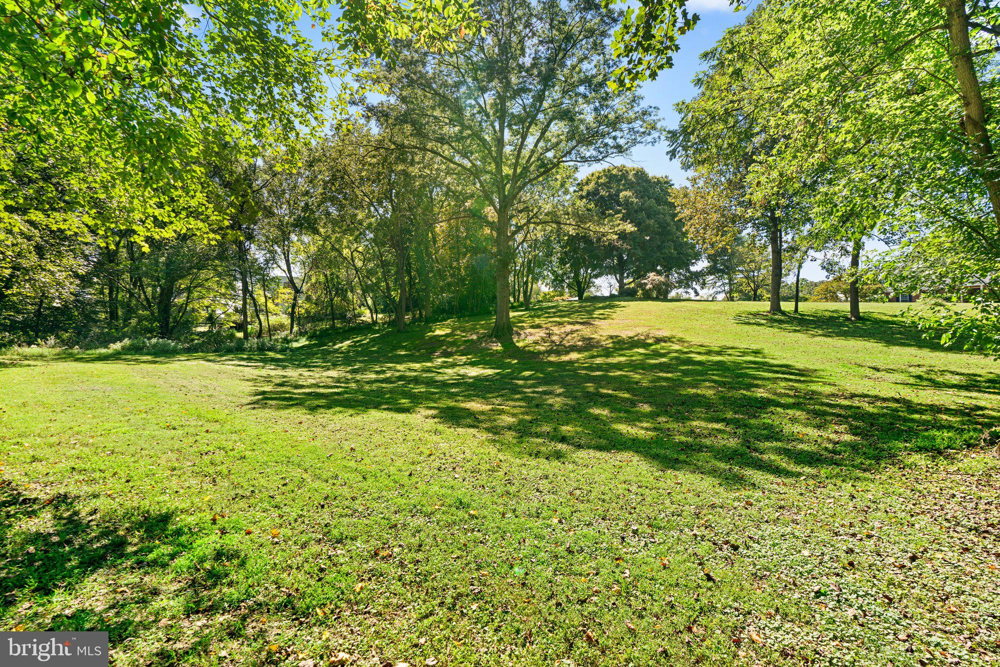 12412 Hall Shop Road Fulton, MD 20759 - Photo 74 of 97 Second pasture; horses, play area, privacy.
