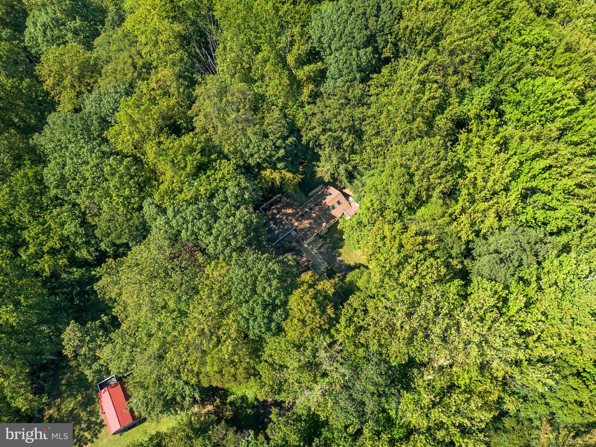 12412 Hall Shop Road Fulton, MD 20759 - Photo 79 of 97 Barn in relation to home.