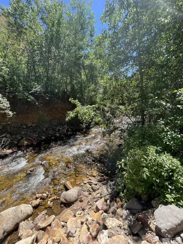 a view of a yard with a tree
