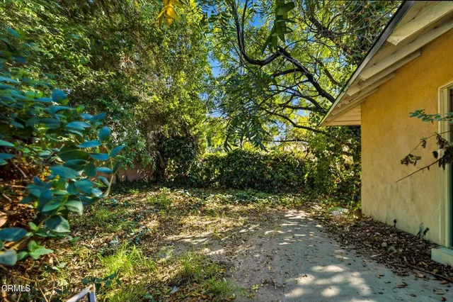 a view of bushes and tree