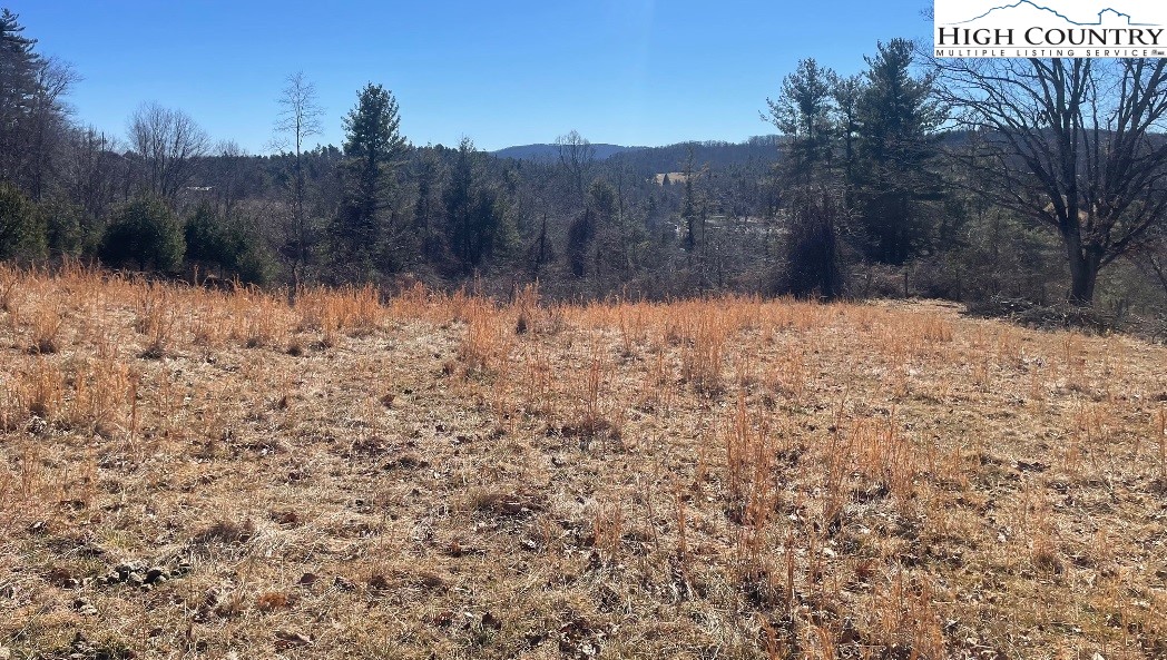 Pine Run Road Boone, NC 28607 - Photo 1 of 25