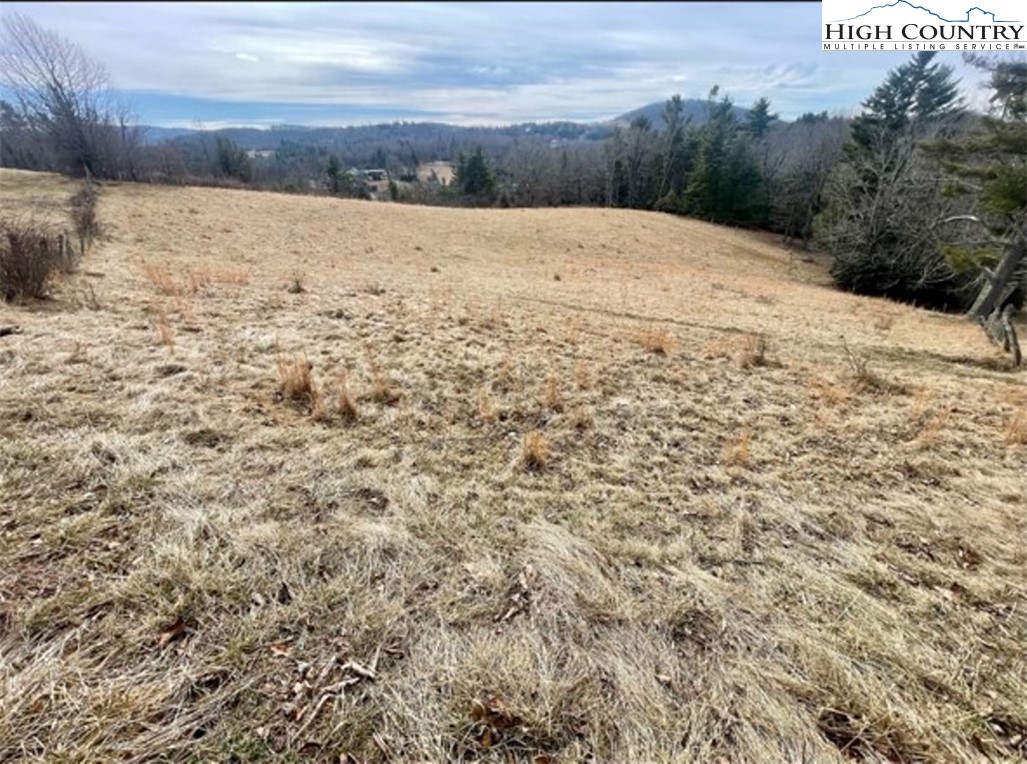 Pine Run Road Boone, NC 28607 - Photo 13 of 25