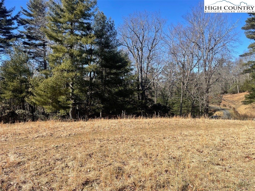 Pine Run Road Boone, NC 28607 - Photo 16 of 25