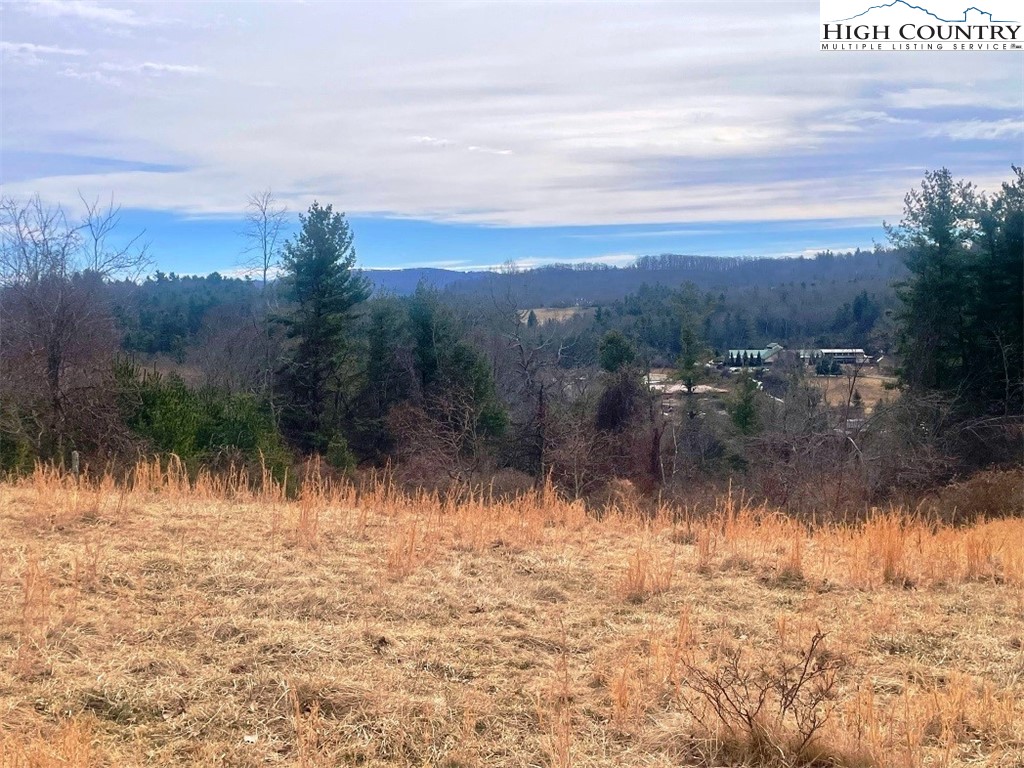 Pine Run Road Boone, NC 28607 - Photo 2 of 25