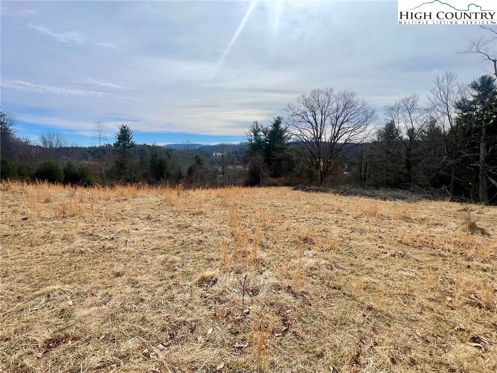 Pine Run Road Boone, NC 28607 - Photo 3 of 25