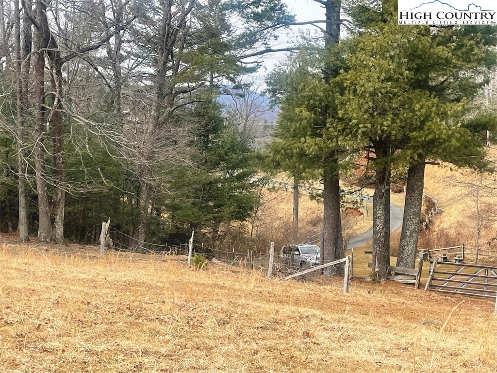 Pine Run Road Boone, NC 28607 - Photo 4 of 25