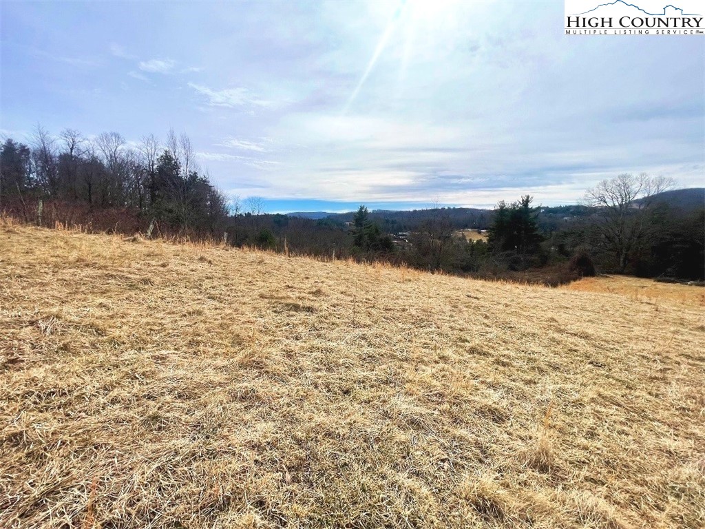 Pine Run Road Boone, NC 28607 - Photo 5 of 25