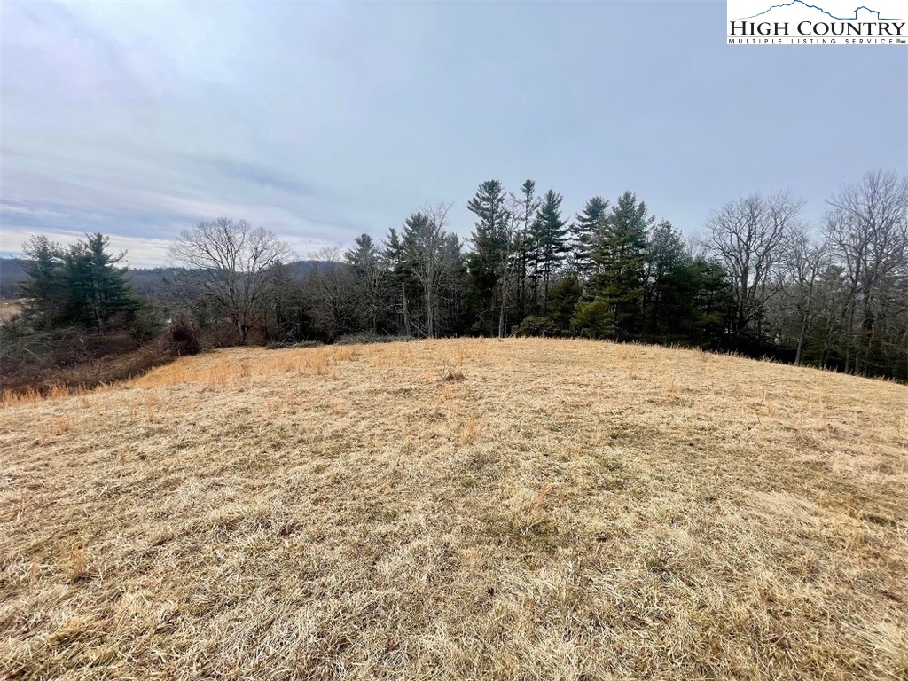 Pine Run Road Boone, NC 28607 - Photo 6 of 25