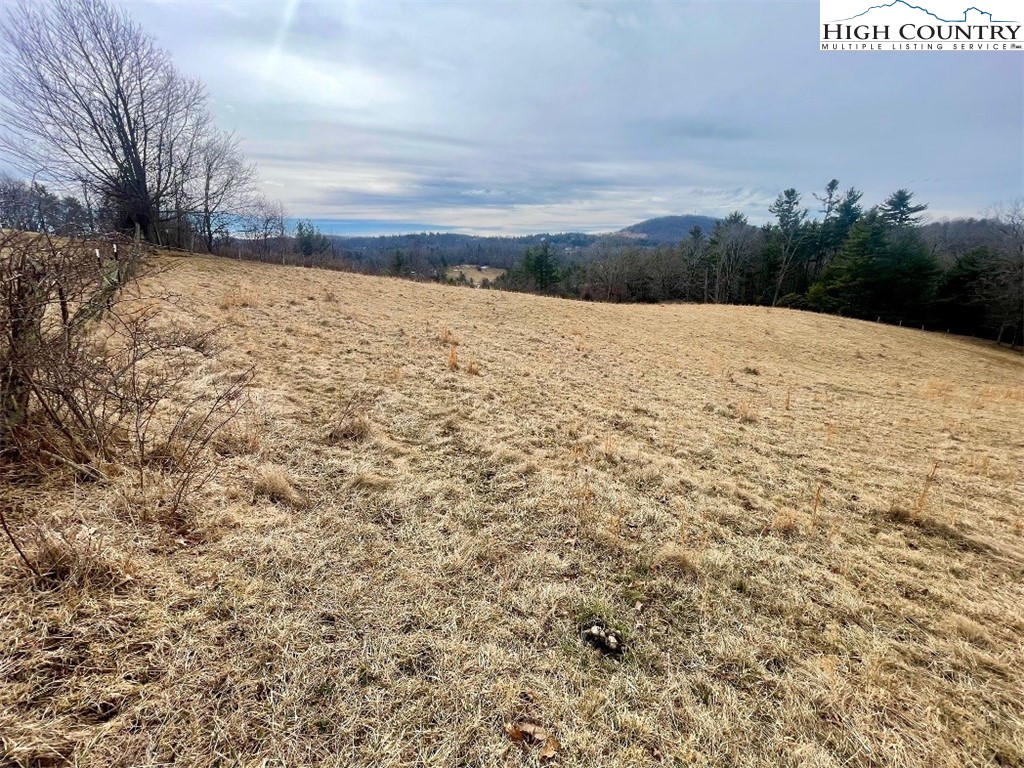 Pine Run Road Boone, NC 28607 - Photo 7 of 25