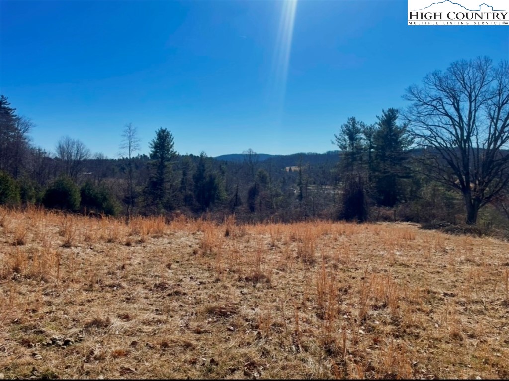 Pine Run Road Boone, NC 28607 - Photo 10 of 25
