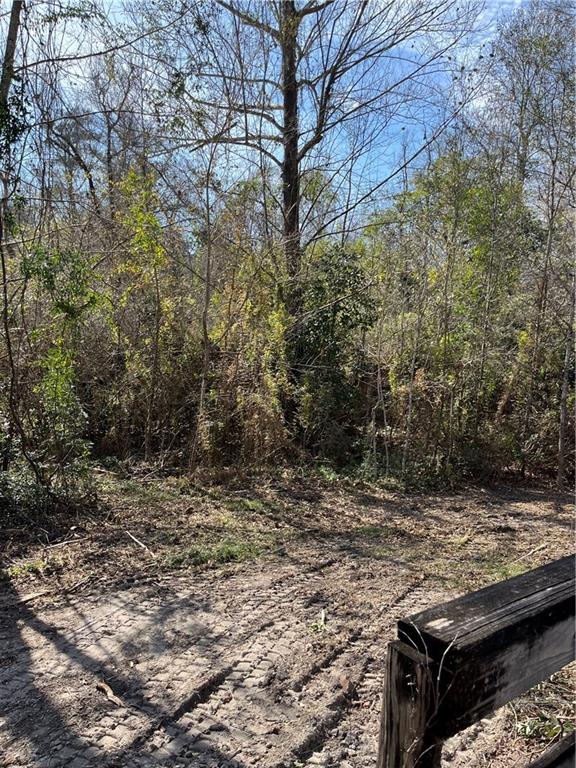 17806 Lane Road Bogalusa, LA 70427 - Photo 10 of 24