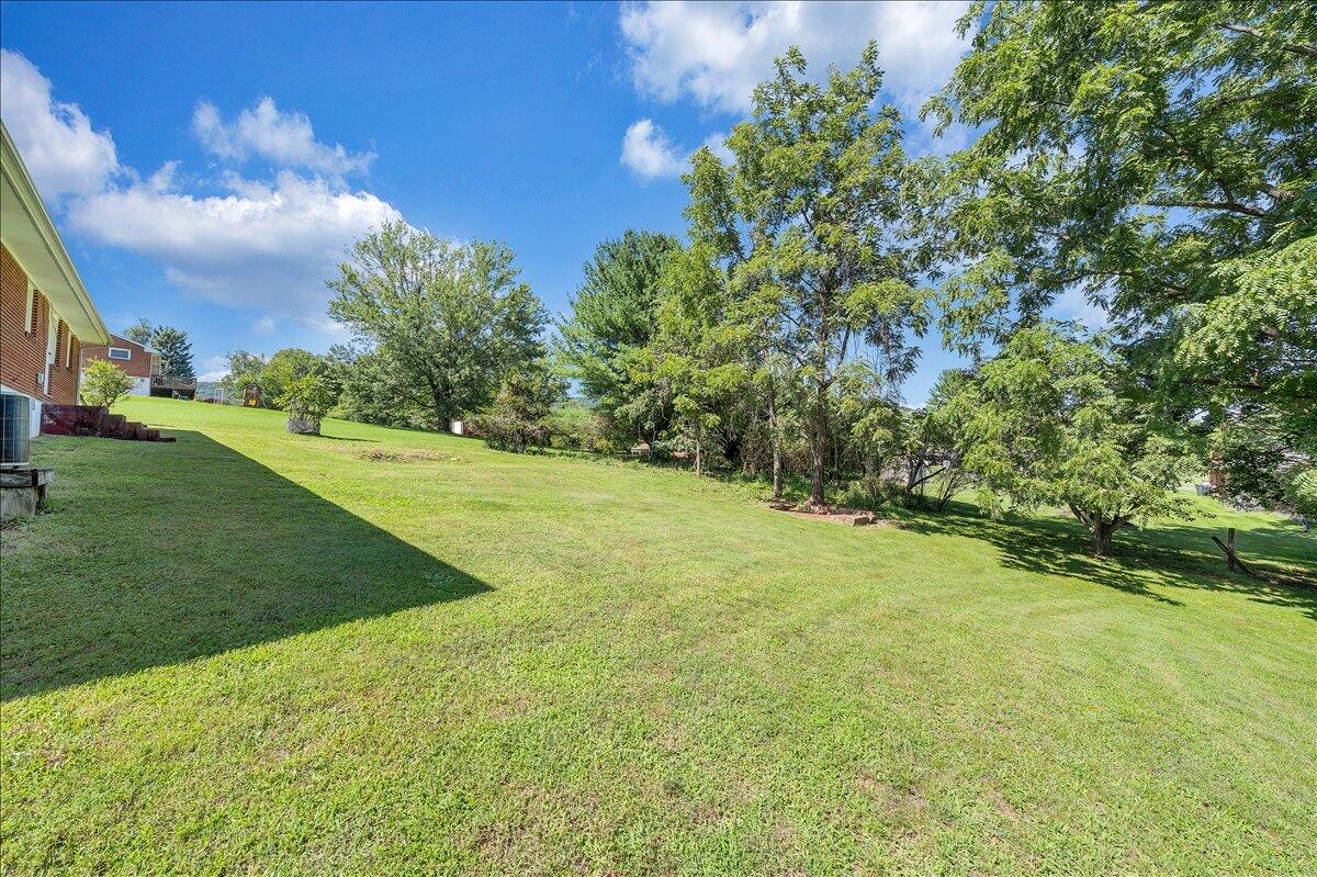 180 Blue Ridge Drive Blue Ridge, VA 24064 - Photo 37 of 43 37-MIB03160