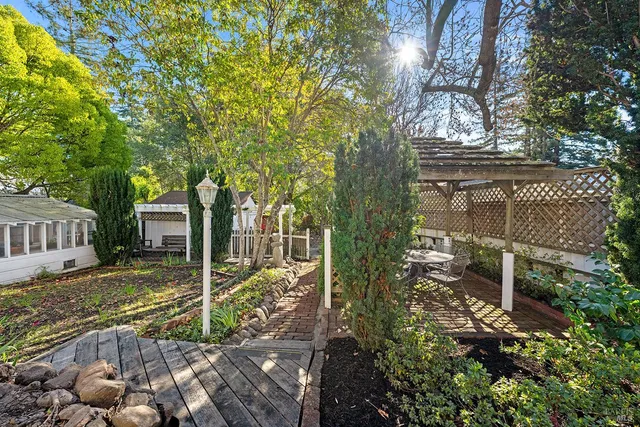 a view of a yard with plants and large trees