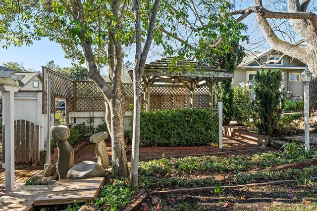 a view of a garden with plants
