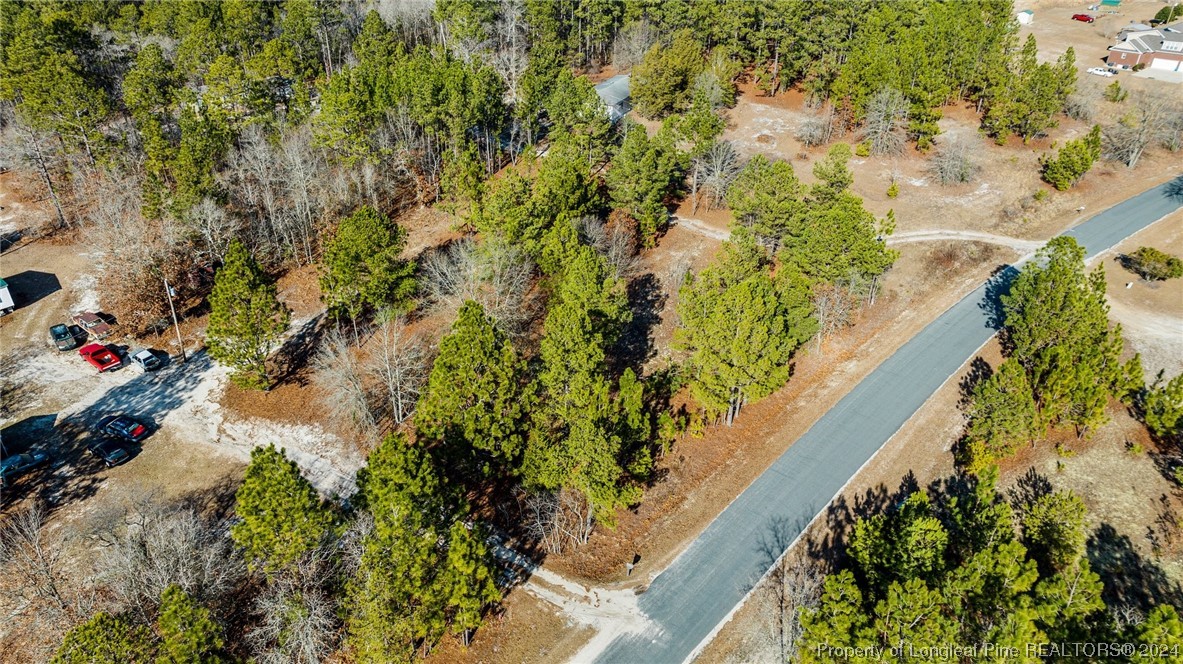 Brower Road, Unit 1 Cameron, NC 28326 - Photo 11 of 11 a picture of flowers next to a road