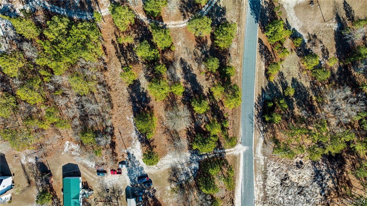 Brower Road, Unit 1 Cameron, NC 28326 - Photo 10 of 11 a picture of tree