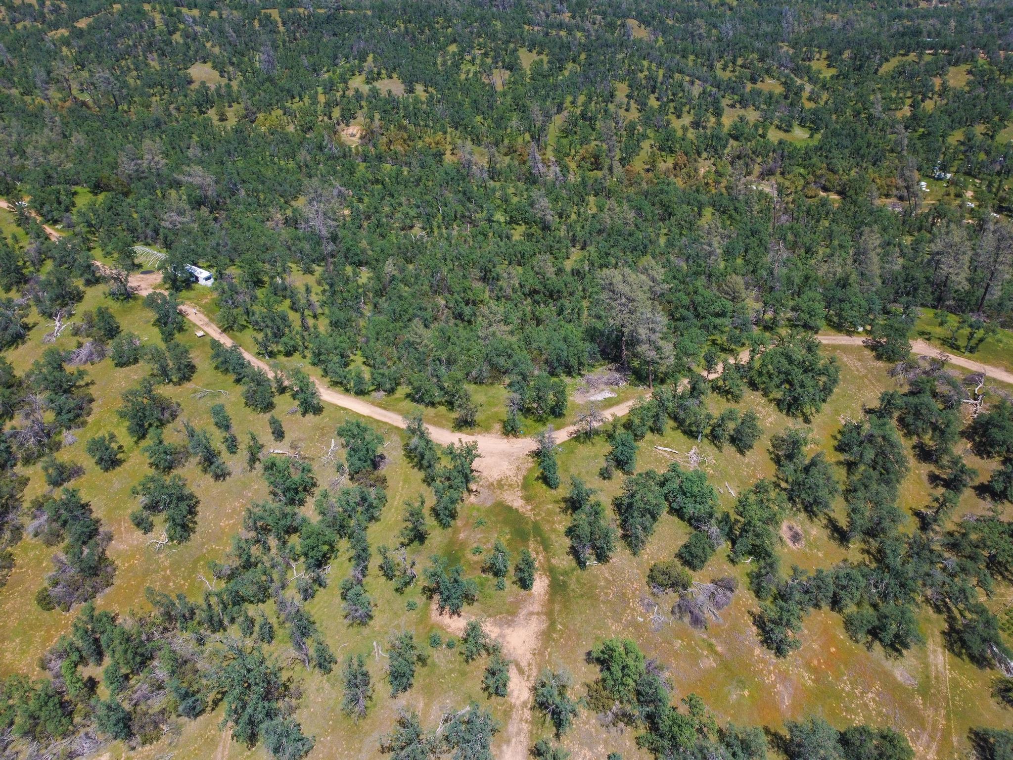 40 Two Feathers Road Igo, CA 96047 - Photo 14 of 16 DJI_0093