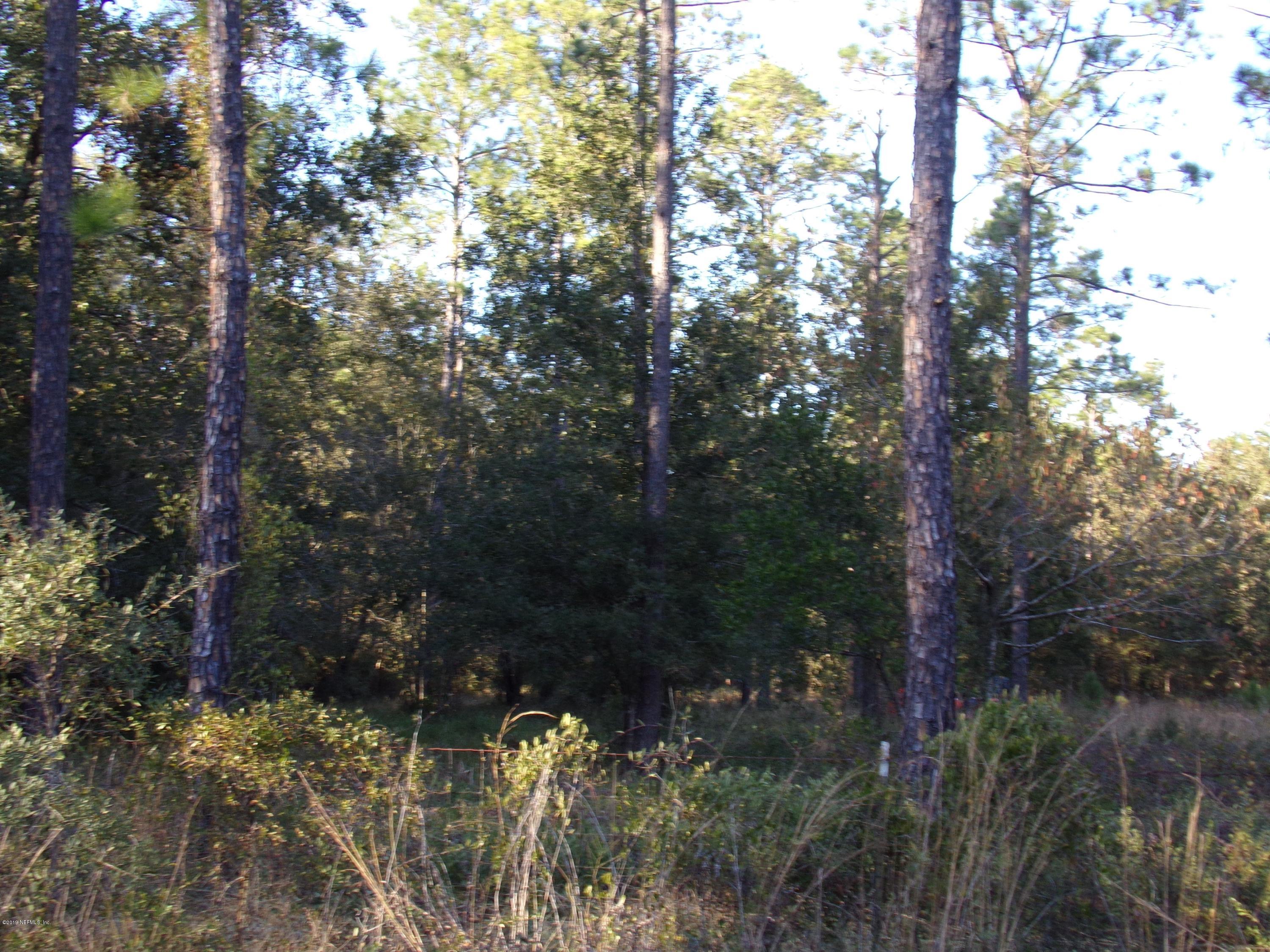 Lot 38 Bronco Road Middleburg, FL 32068 - Photo 3 of 4 a view of forest