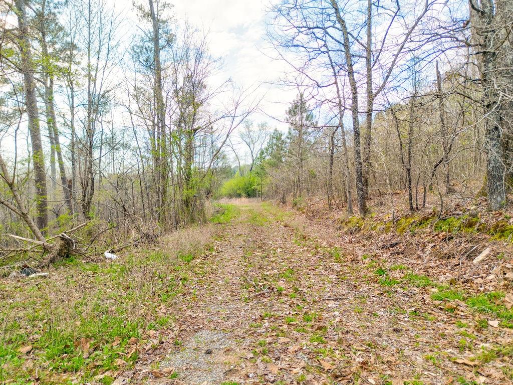 0 Moran Lake Road Northeast Rome, GA 30161 - Photo 5 of 5 a backyard of a house with large trees