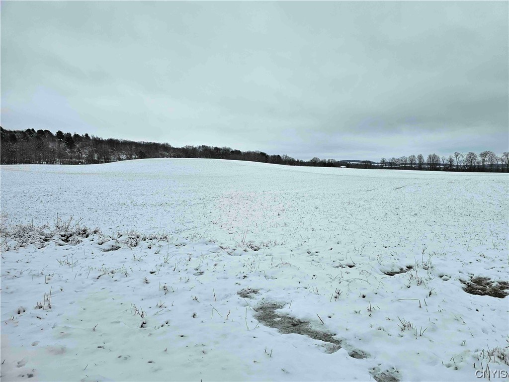 0 CUTLER SCHOOL Rd  