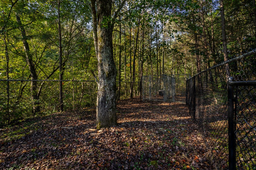 420 River Bottom Road Ellijay, GA 30536 - Photo 61 of 71 Gallery Image 61