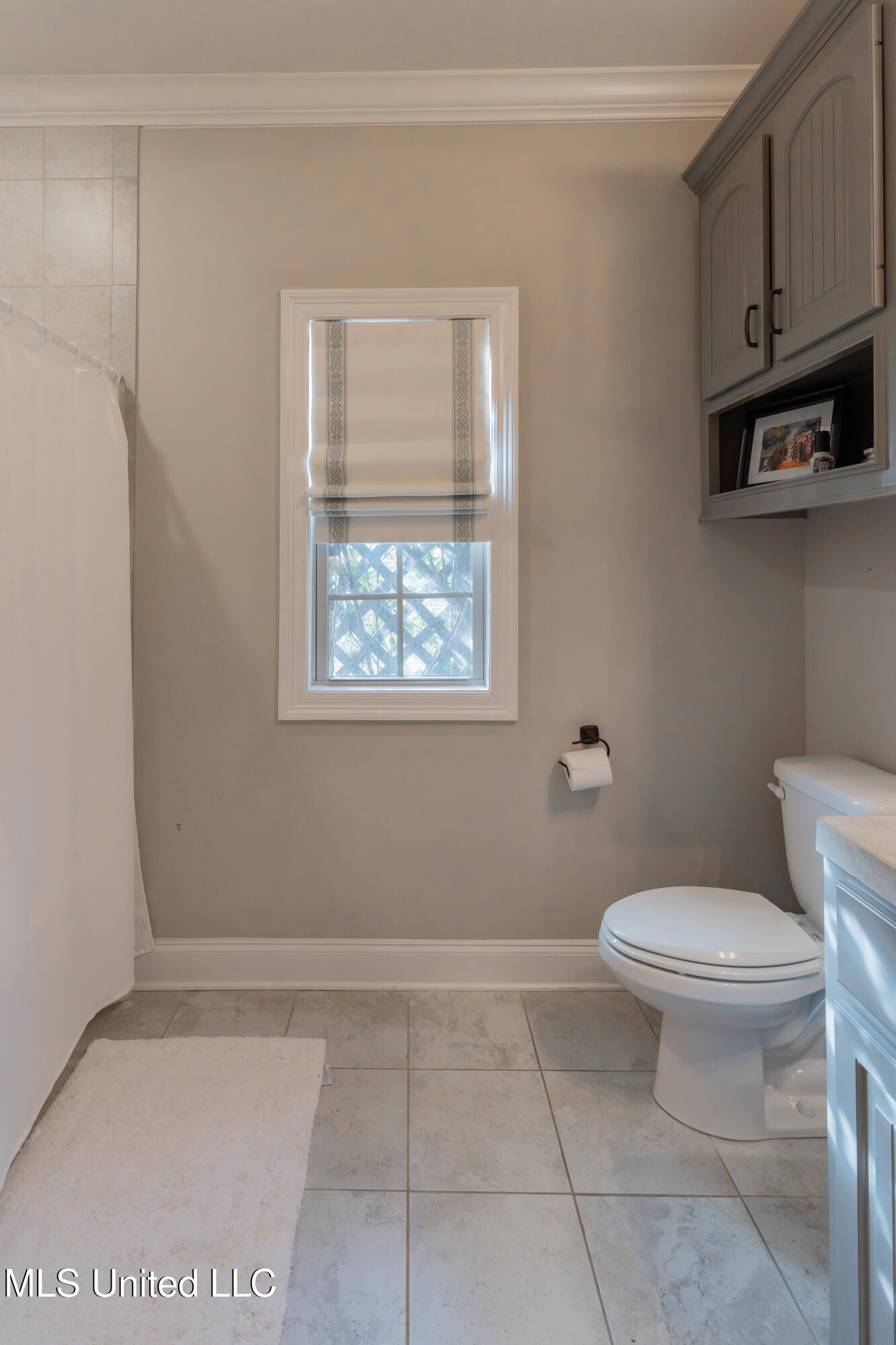 2015 East Ridge Circle Madison, MS 39110 - Photo 24 of 28 Hall Bathroom