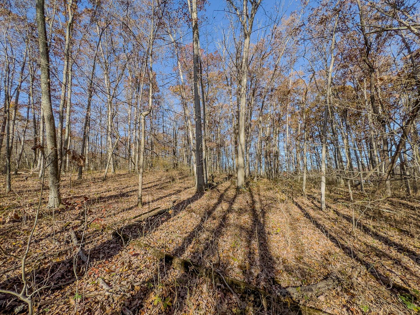 9615 Rural Dale Road Blue Rock, OH 43720 - Photo 57 of 83 9615 Rural Dale Rd-57