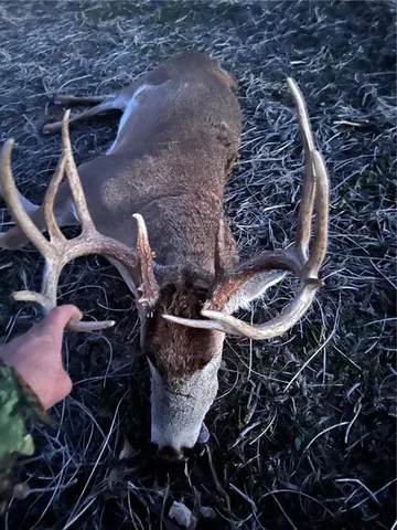 $535,000 | 30904 Pressonville Road, Paola, KS 66071