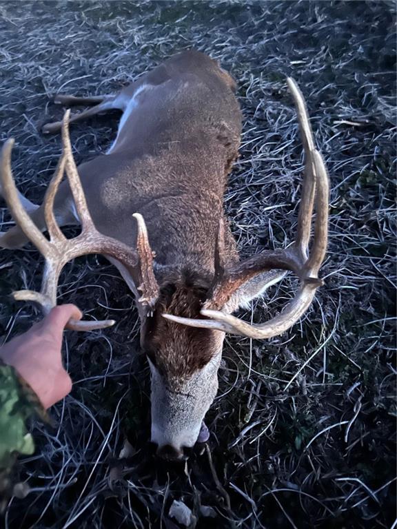 30904 Pressonville Road Paola, KS 66071 - Photo 27 of 33