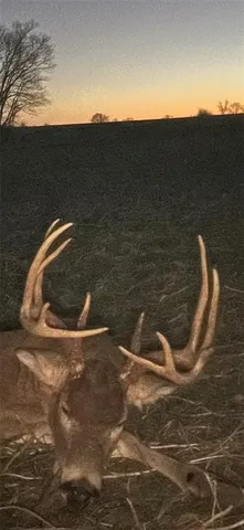 $535,000 | 30904 Pressonville Road, Paola, KS 66071