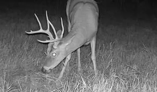 $499,950 | 30904 Pressonville Road, Paola, KS 66071