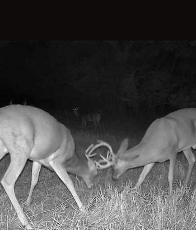 30904 Pressonville Road Paola, KS 66071 - Photo 30 of 33