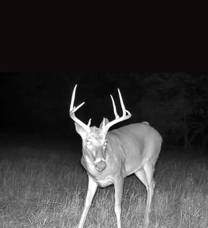 $499,950 | 30904 Pressonville Road, Paola, KS 66071