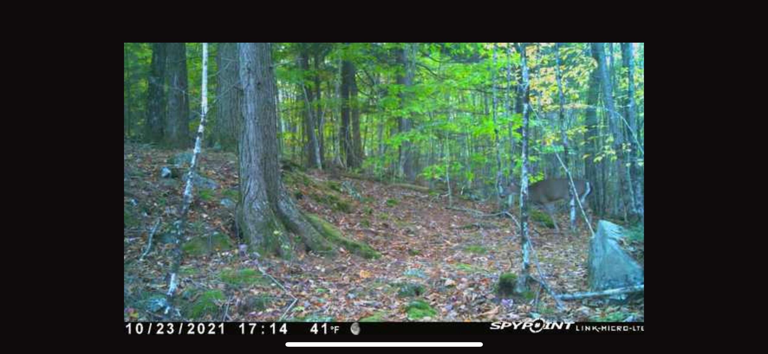 0 Hanson Ridge Road Springvale, ME 04083 - Photo 11 of 15 IMG_3090