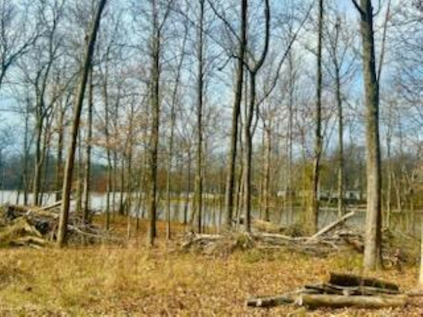 16 Moses Manor Drive Benton, IL 62812 - Photo 4 of 9 a view of under construction area