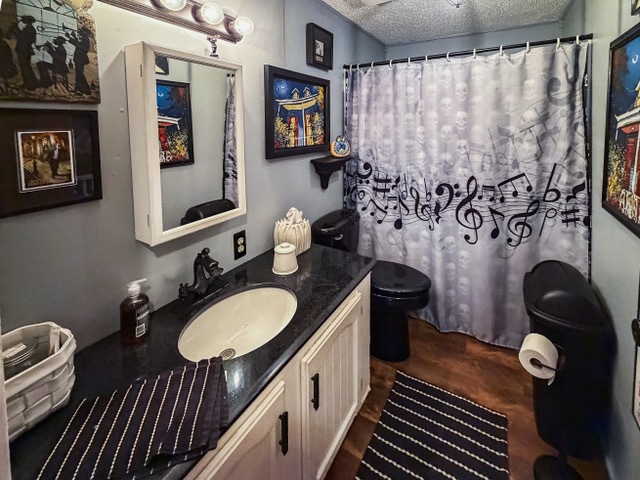38569 North Sheridan Road, Unit 390 Beach Park, IL 60099 - Photo 13 of 28 a bathroom with a granite countertop sink a toilet and a shower curtain