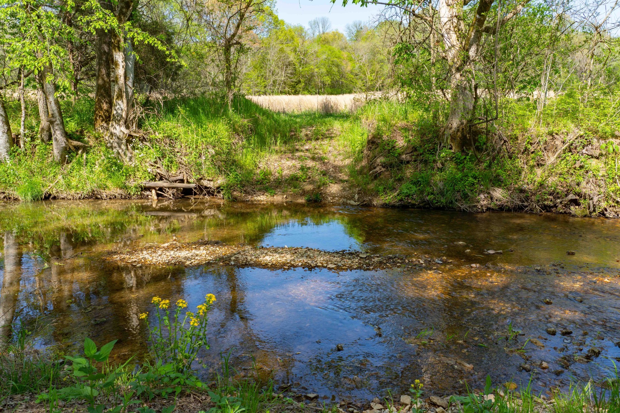 0 Pee Dee Branch Road Cottontown, TN 37048 - Photo 10 of 46 Gallery Image 10