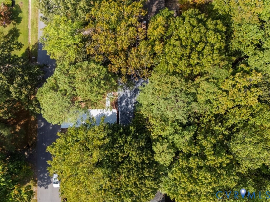 12130 Quito Road Midlothian, VA 23112 - Photo 40 of 41 a view of a tree with a yard