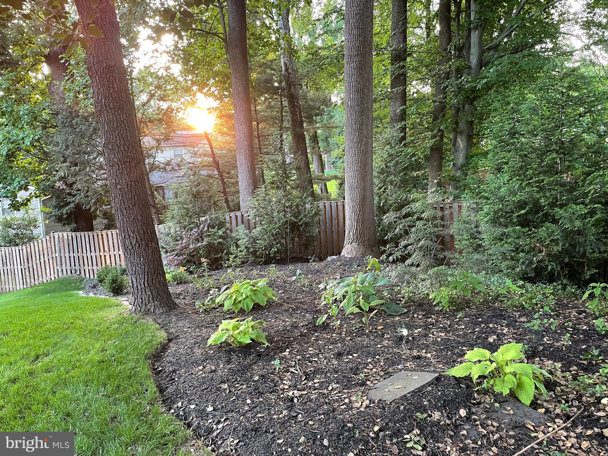 10611 Glenwild Road Silver Spring, MD 20901 - Photo 35 of 39 a view of a garden with large trees