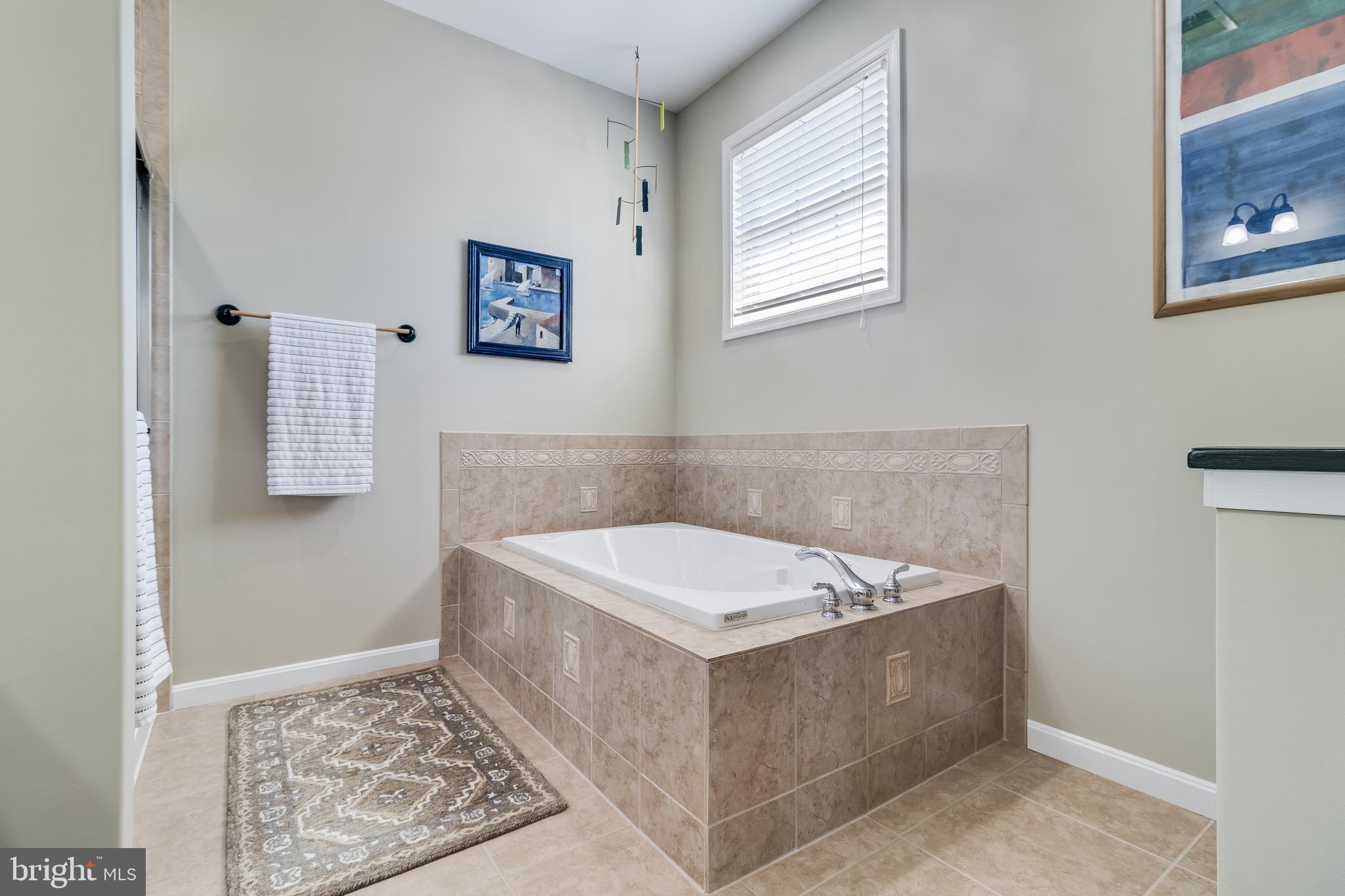 1725 Tacoma Road Edgewater, MD 21037 - Photo 28 of 36 master bath