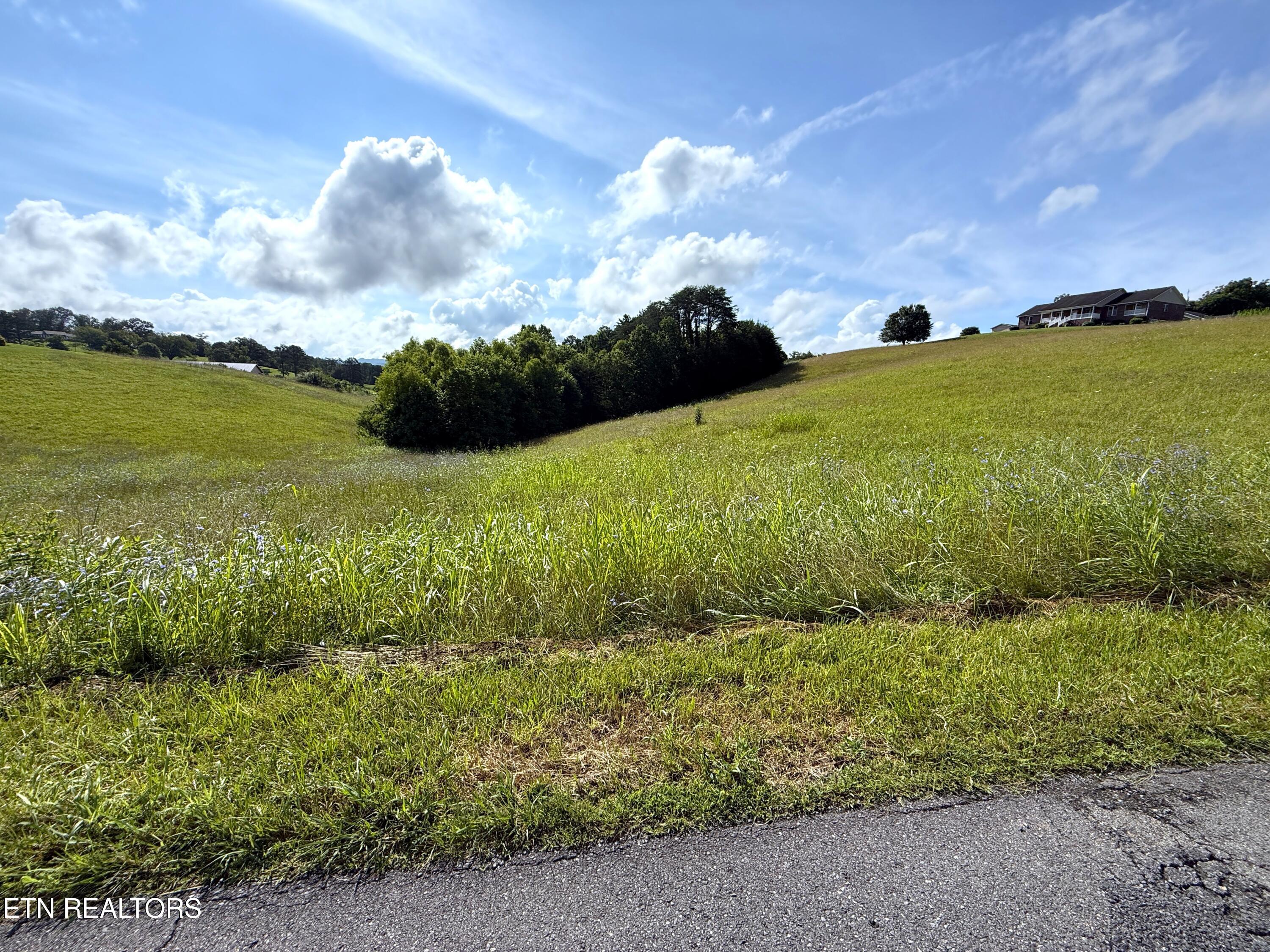 17-18 English Mtn Road Newport, TN 37821 - Photo 1 of 5 1