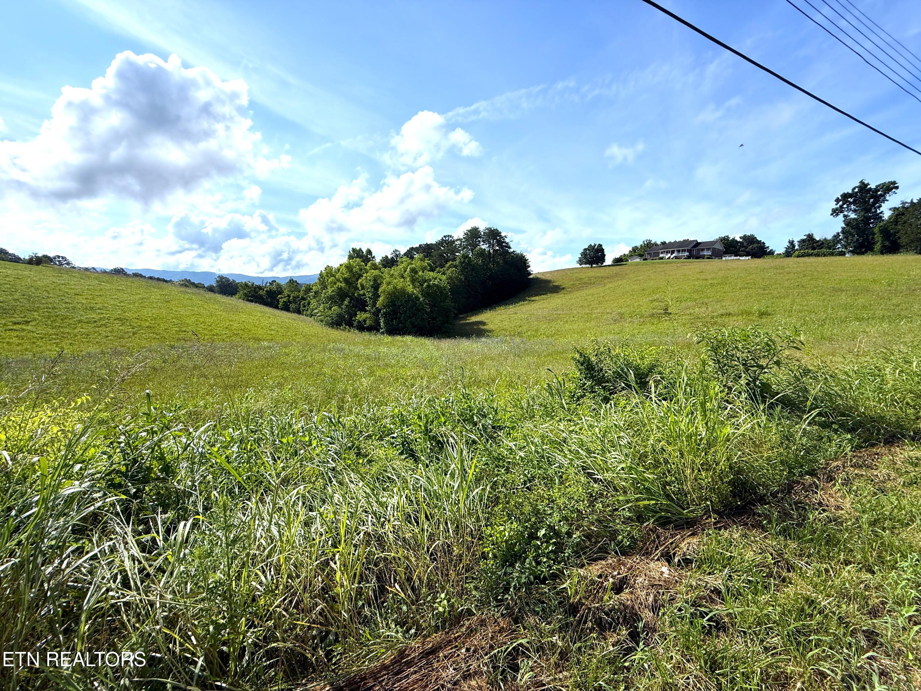 17-18 English Mtn Road Newport, TN 37821 - Photo 3 of 5 4