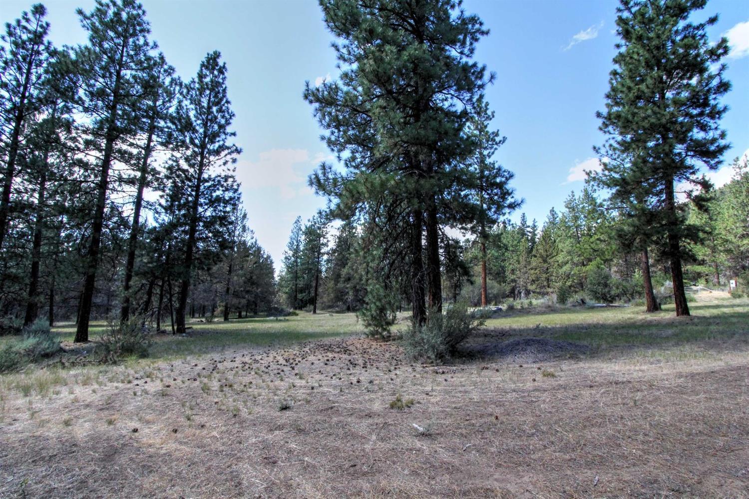 1050 Telephone Flat Road Chiloquin, OR 97624 - Photo 27 of 35 Additional Photo