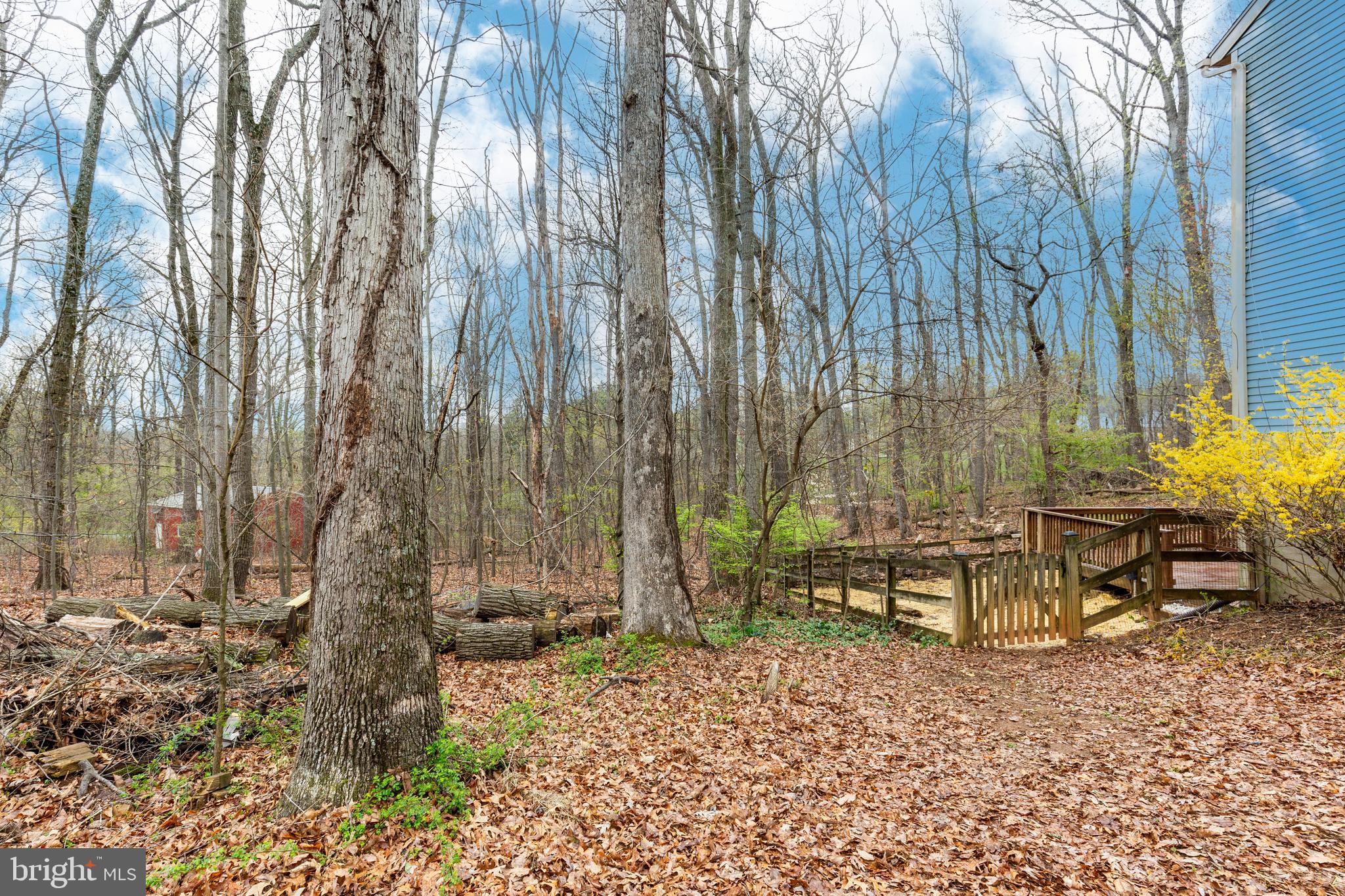 641 Hook Road Westminster, MD 21157 - Photo 57 of 70 Back yard