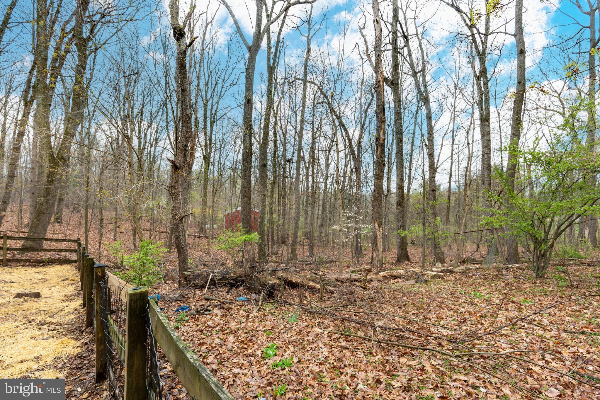 641 Hook Road Westminster, MD 21157 - Photo 68 of 70 Back yard